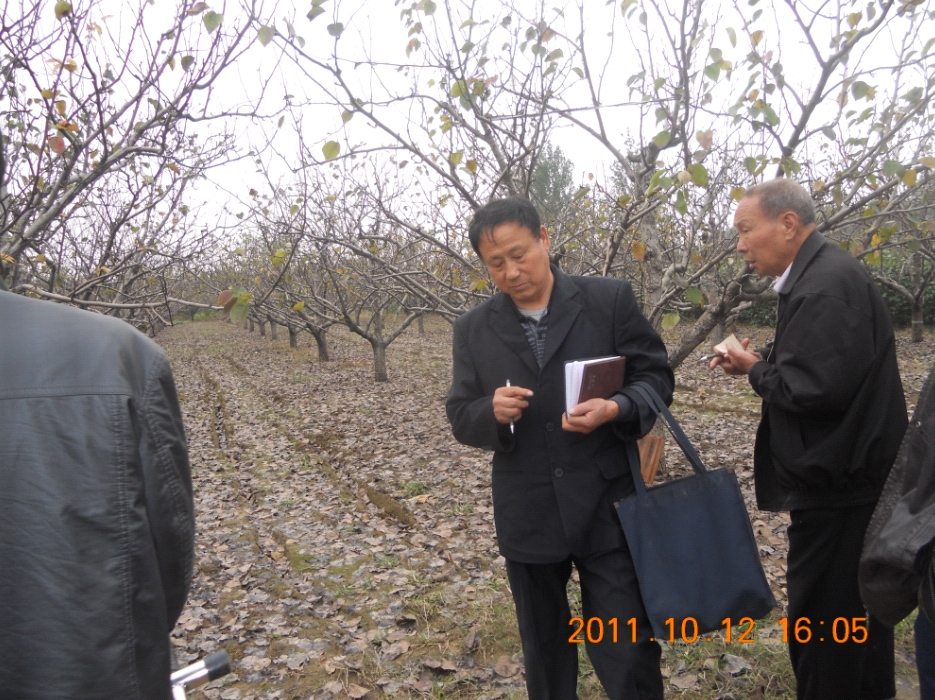 路水先局長(zhǎng)安徽72萬(wàn)畝梨園測(cè)土記錄