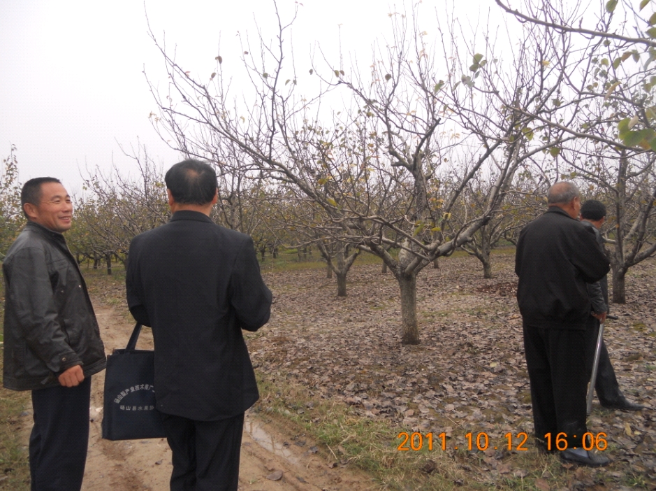 路水先局長(zhǎng)安徽72萬(wàn)畝梨園取土