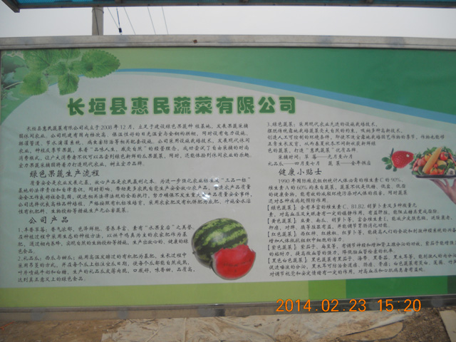 長(zhǎng)垣草莓采摘園